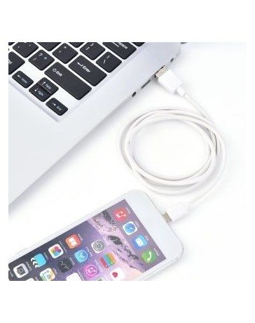 blanco Cable de datos 5 Alarma de oro de Apple - Envío Gratuito