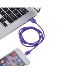 Alarma de oro de Apple Cable de datos 5 púrpura - Envío Gratuito