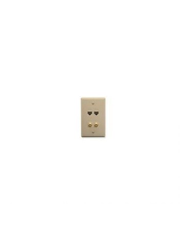 Faceplate Idc 2 Data And 2 F Type Ivory - TLD-ICC-ICRDS2F5IV - Envío Gratuito