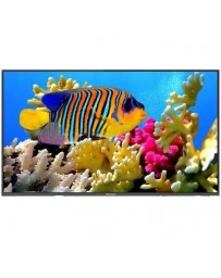 Pantalla Pioneer 43 LED Full HD PLE4305FHDMX - Envío Gratuito