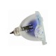 Para OSRAM P-VIP 100-120 - Envío Gratuito
