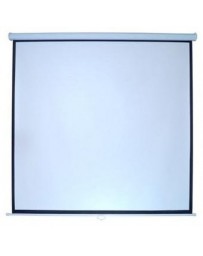 Pantalla 120 Diagonal Multimedia Screen Msc-213 - Envío Gratuito
