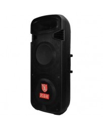 Bafle Amplificado Profesional 2×15″ 2× 4500 W - Envío Gratuito