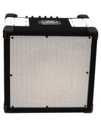 Amplificador profesional para guitarra e intrumentos musicales - Envío Gratuito