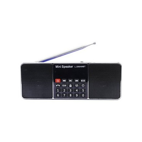 Portable Am Fm Bluetooth Radio Dual Channel USB - Envío Gratuito