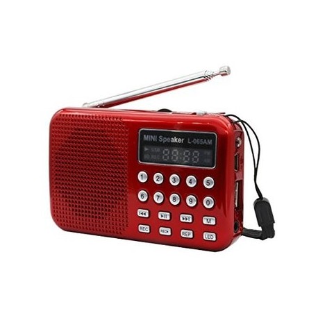 AMPSEVEN Portable AM/FM Radio Speaker Mini USB - Envío Gratuito