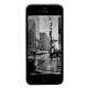 iPhone 5 16GB -Negro - Envío Gratuito
