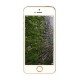 Celular Mejor Smartphone Libre iPhone 5s A1533 4G 16GB iOS 7 Dual Core-Dorado EU plu - Envío Gratuito